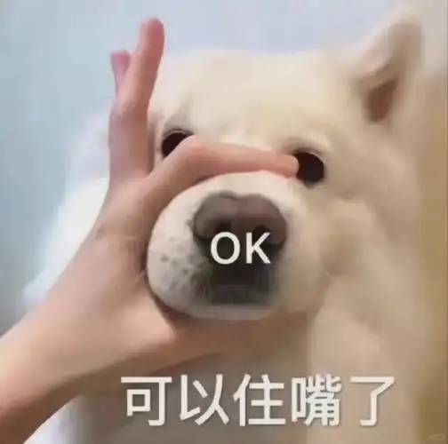 午间小憩也能逆袭 这款游戏教你管理时间