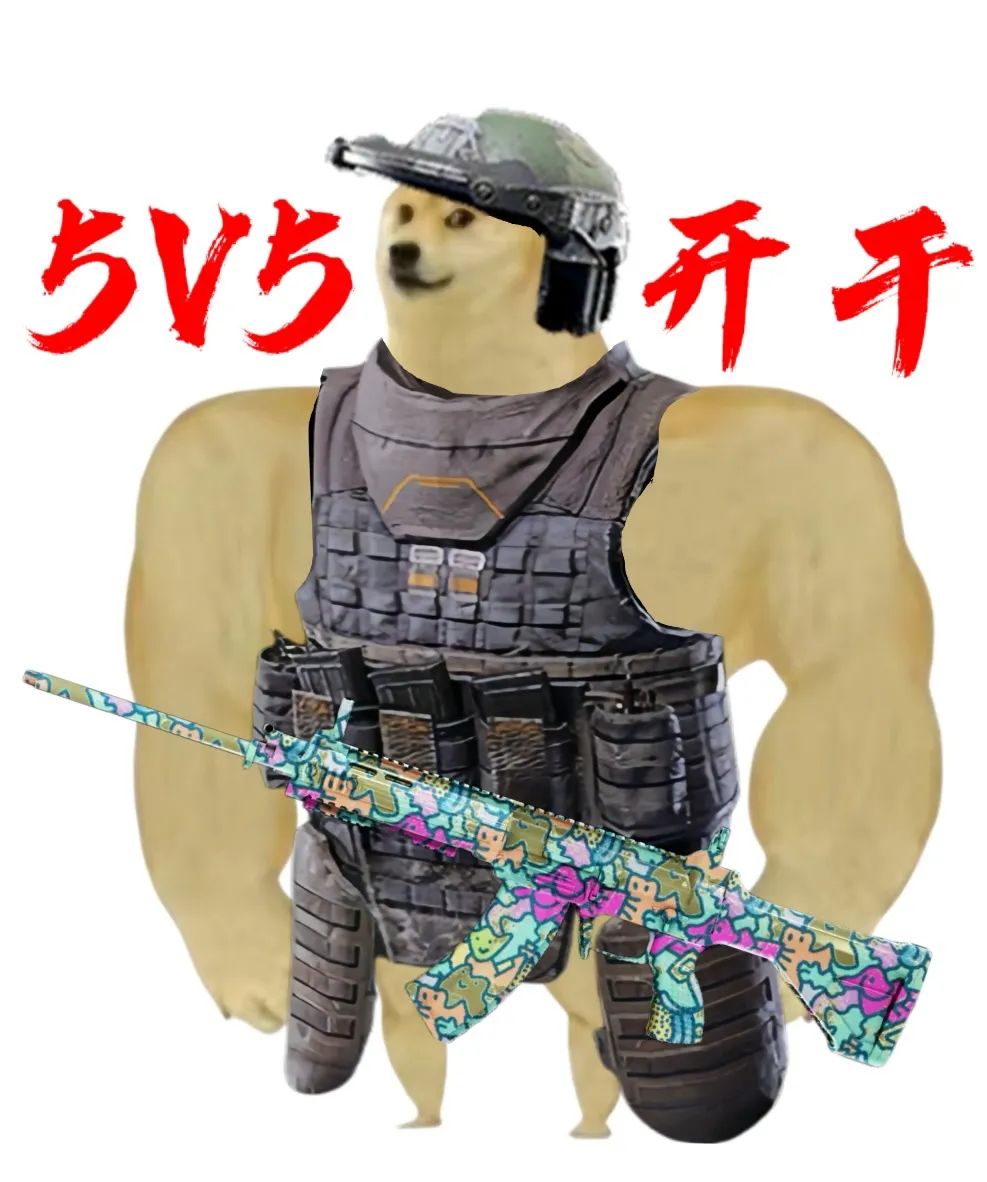 5V5大舞台，爱整活你就来！零封对手的魅力谁懂啊！