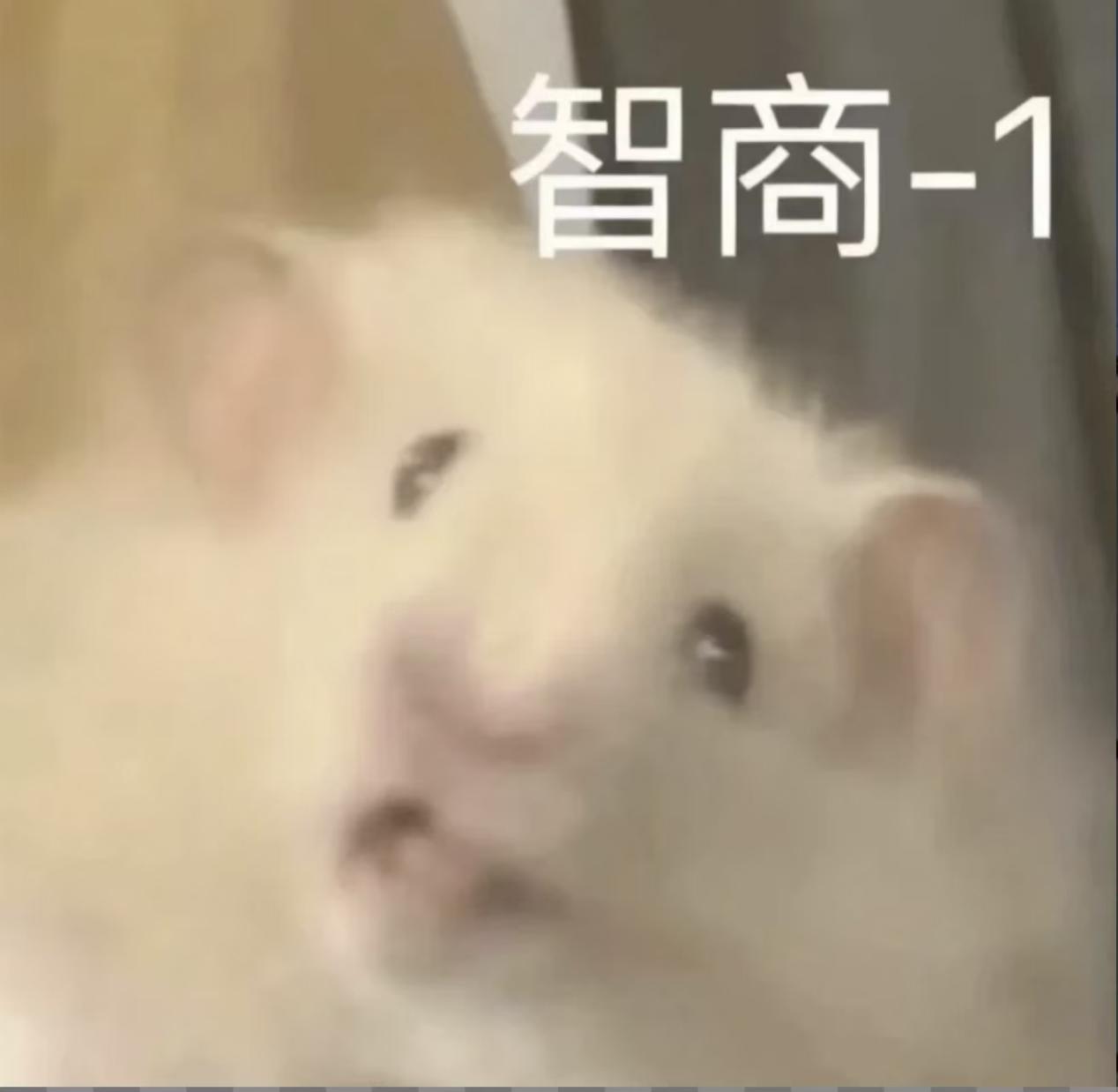 有没有比三谋更养老的？节奏慢到像退休生活那种