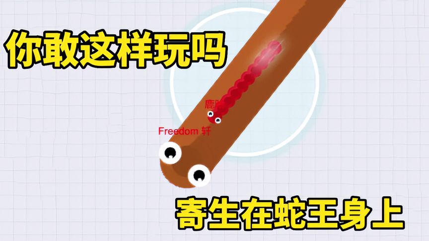 贪吃蛇大作战：贪吃蛇“寄生”在蛇王身上！