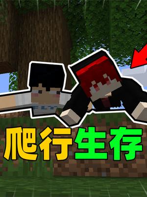 当MC只能爬行，该如何生存？我的世界Minecraft