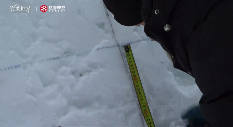 零度下的匠心：百小时精雕！如何让完美大陆妖兽“破壁”现实