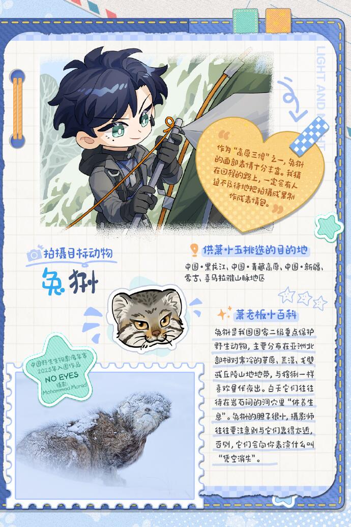 出发！和他的野生动物之旅 | 萧逸 × 中国野生生物影像年赛