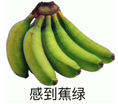 告别幸福肥焦虑 三谋教你如何“躺赢”人生