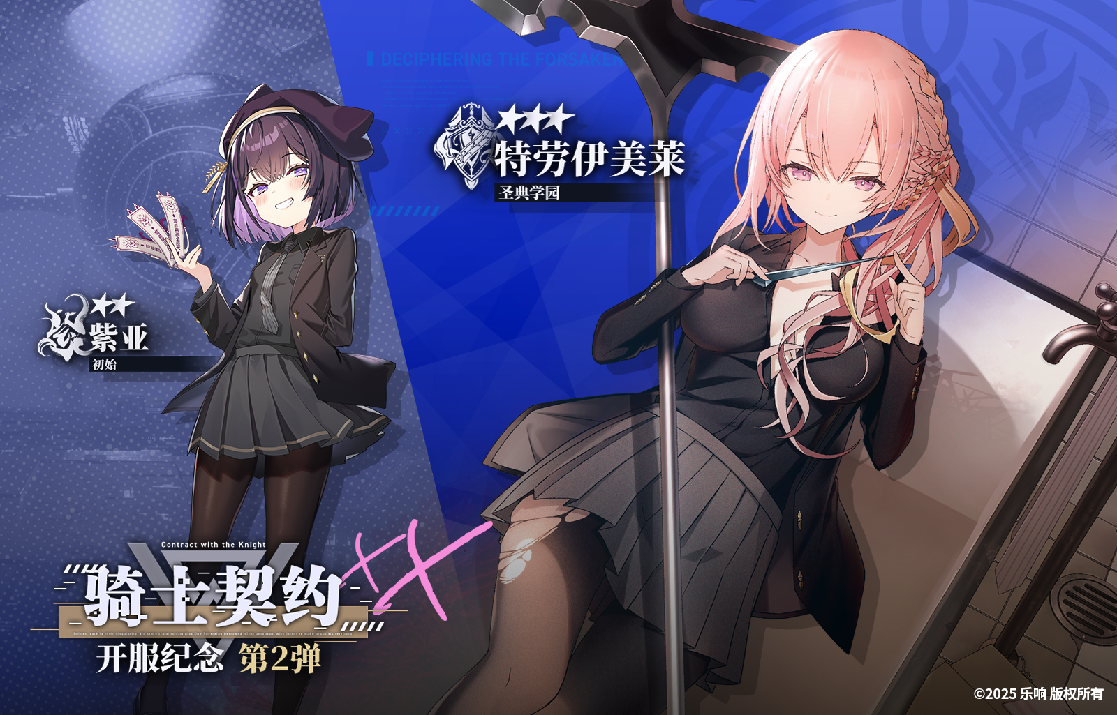 【骑士契约✨】