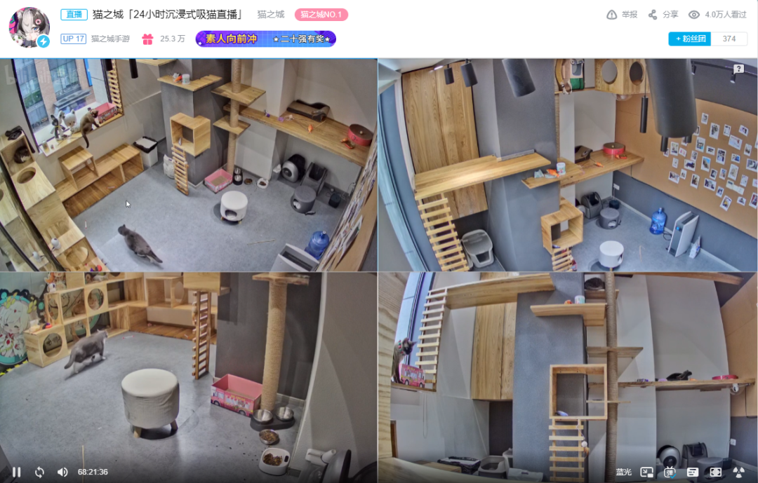 免费榜第三，未上畅销榜，为何《猫之城》迎来地狱开局？