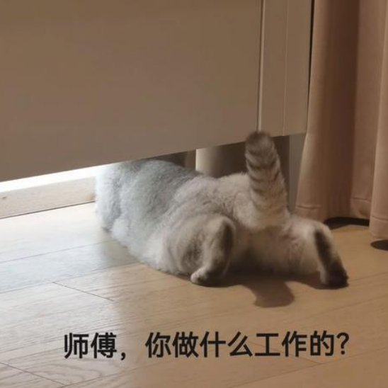 师徒拥抱背后：三谋如何打造电竞级协作