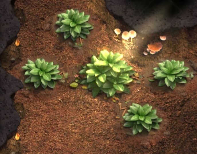 植物产量原来要这样