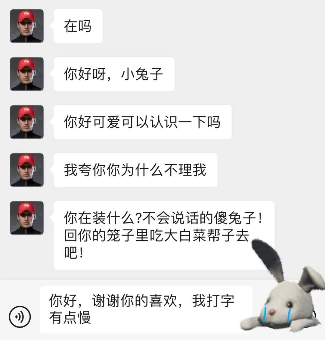 兔兔这么可爱，当然是要把它...穿在身上啦！