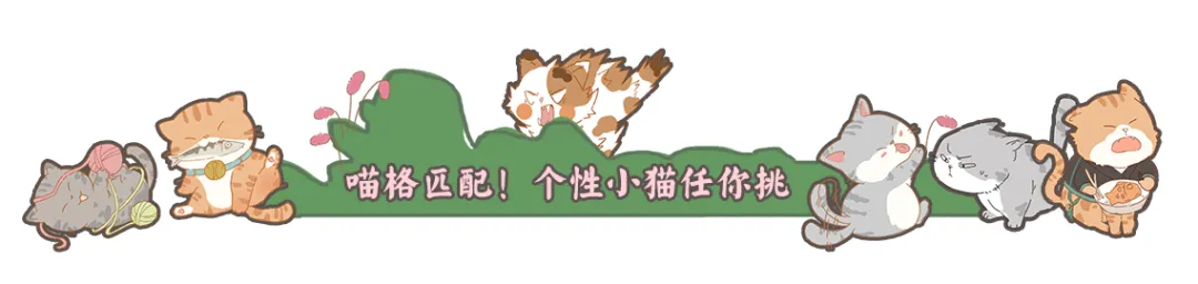 江湖没有奴隶！猫奴啊，那没事了…