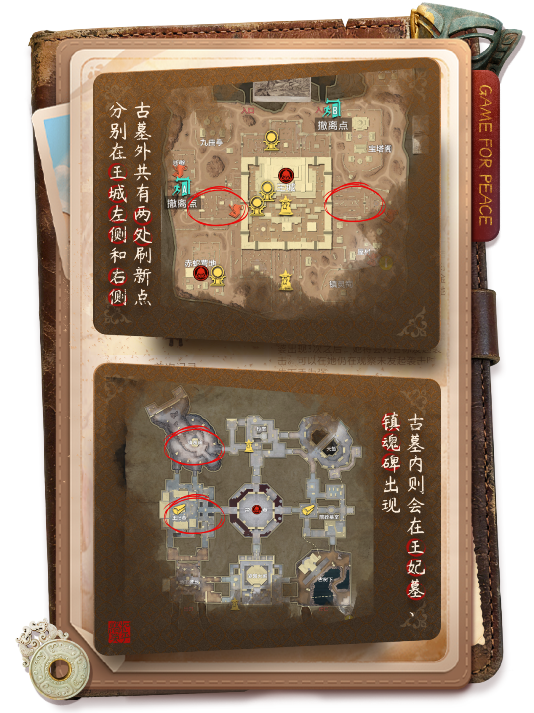 古墓热门NPC——蝾螈小宝的正确食用方法