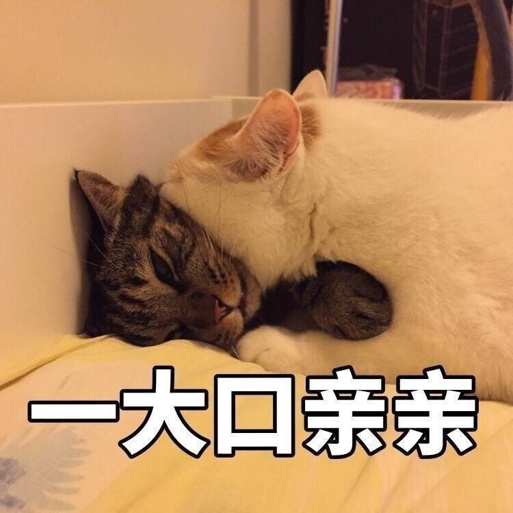 超人气梯度服开服倒计时！十二城南京联名款汉服首度曝光！