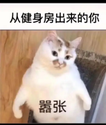 破局SLG爆肝困局：三谋实现策略自由
