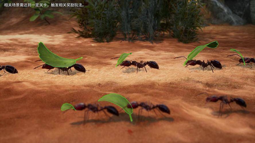《小小蚁国-送极品蚂蚁》：想要游戏资源一把抓？这些经验分享让你高效收集资源！