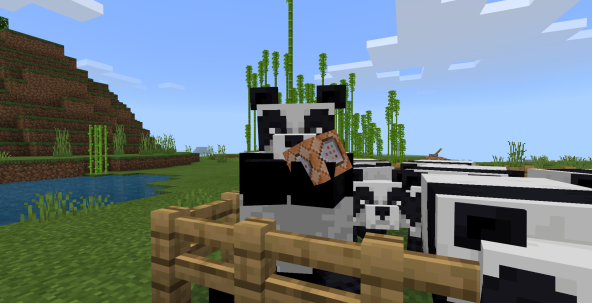 我的世界关于熊猫不为人知的小秘密不仅能吃竹子还爱吃钻石