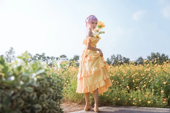 海贼王cos蕾贝卡