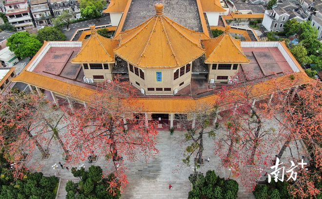 深入湾区！《卡车人生》12月25日新地图开启