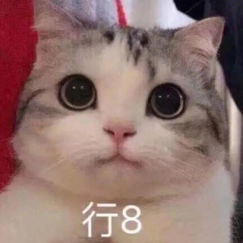 这个送q币的活动完全是在骗，玩不起别搞