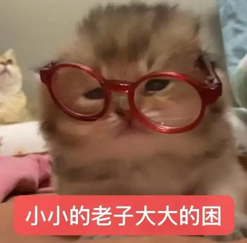 放下内卷焦虑，三谋重构策略成长路径