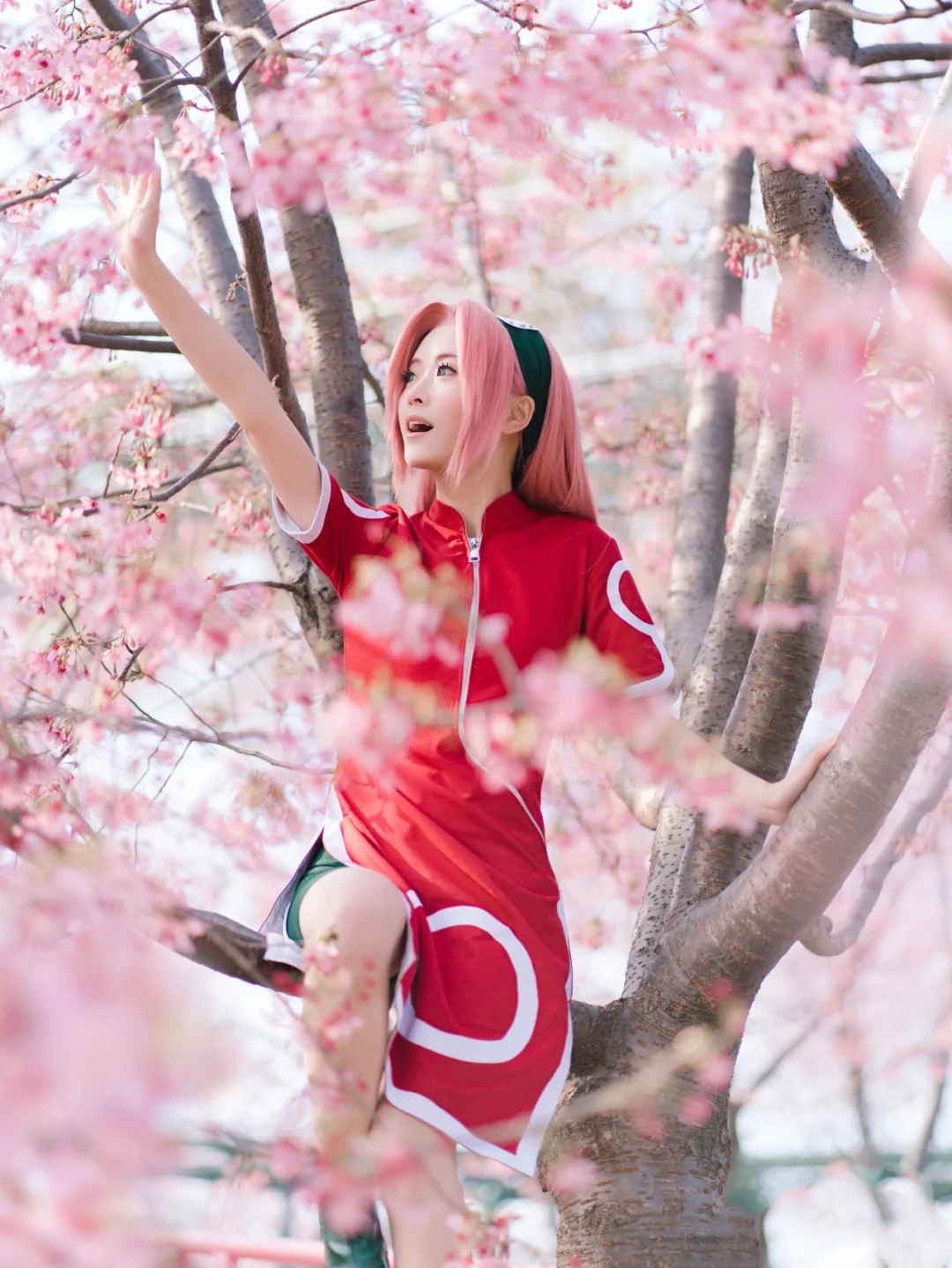 小樱cos - 火影忍者-小米游戏中心