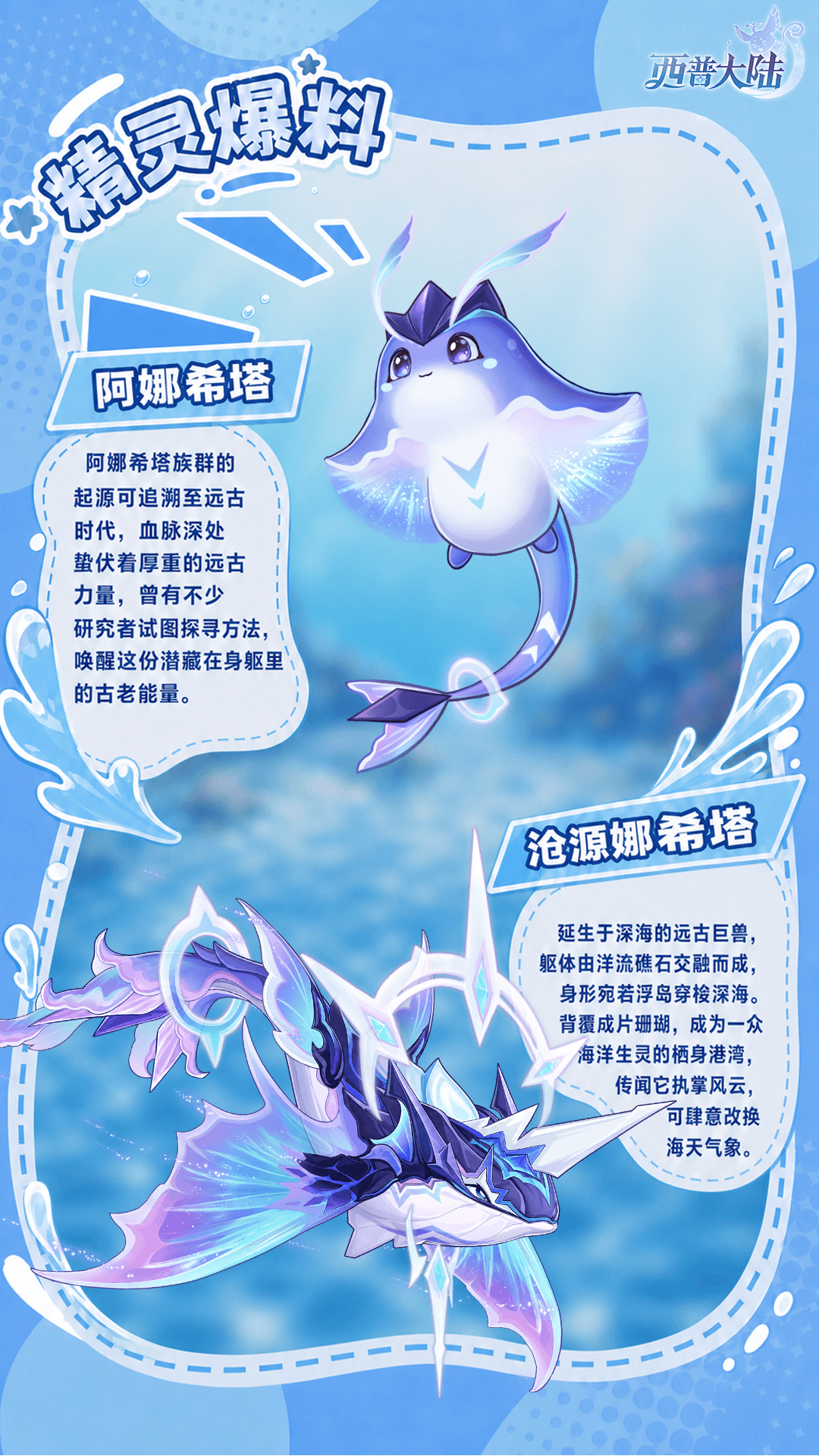 精灵爆料|雨过天霁，碧蓝海湾虹光初现