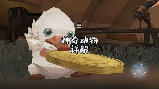 哈利波特·魔法觉醒：沙漠调查——神奇动物详解