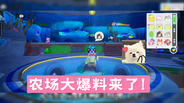 农场大爆料来了！