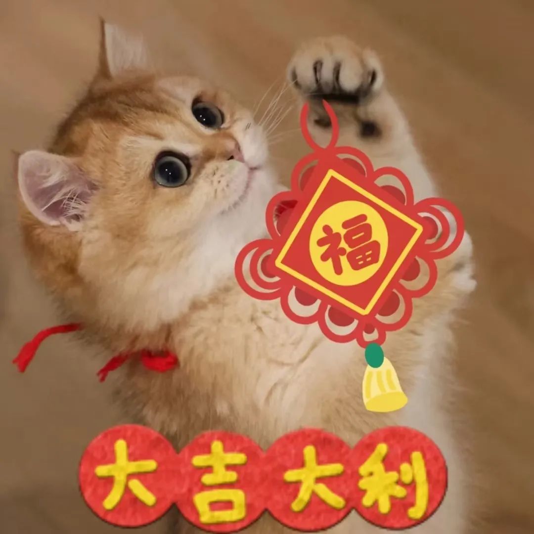 内含红包封面丨主打一个撒钱！聚宝盆、压岁钱，新春福利全都在这儿！