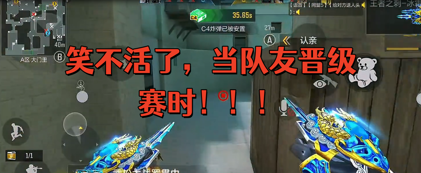 笑不活了，当队友晋级赛时！！！