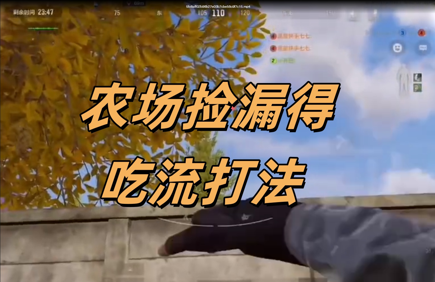 农场捡漏得吃流打法