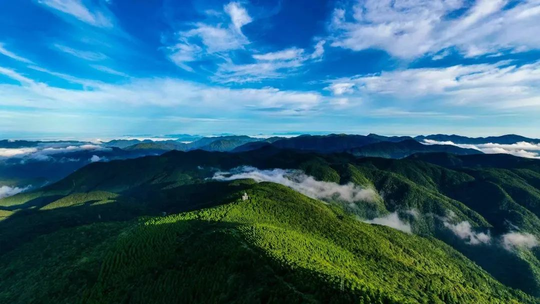 【活动开奖】旅者家乡文化征集活动评奖结果公布！