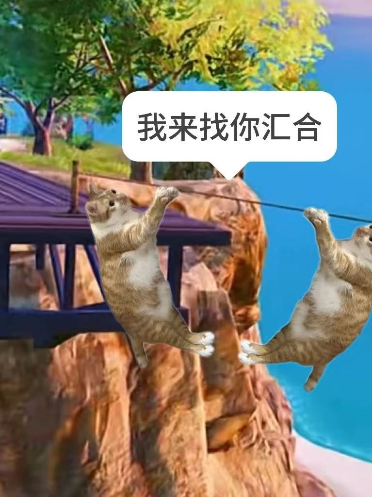 趣事投稿 | 我和怼友是双向奔赴