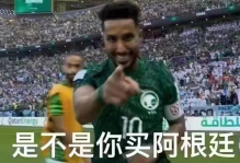 《魔兽大冒险》杂谈之小龙人世界杯废话篇