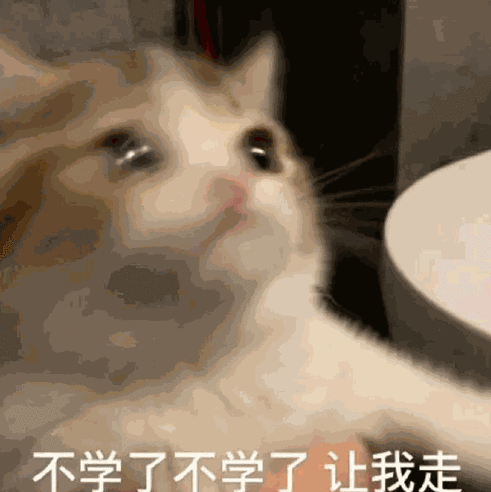 给三谋新手说下每日必做，做完就能下线，不耽误事