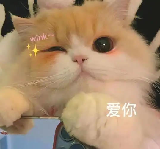 摸猫解压的秘密 这款游戏成新晋心灵按摩师