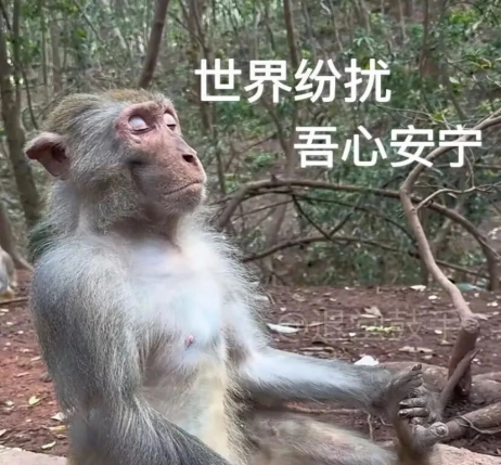 雪饼猴跳传统舞火了 这款游戏里的跨界更精彩