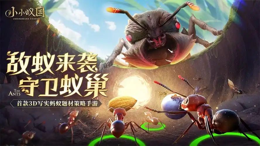 《小小蚁国》模拟蚂蚁生态，结盟扩张，一键开启微观策略冒险！