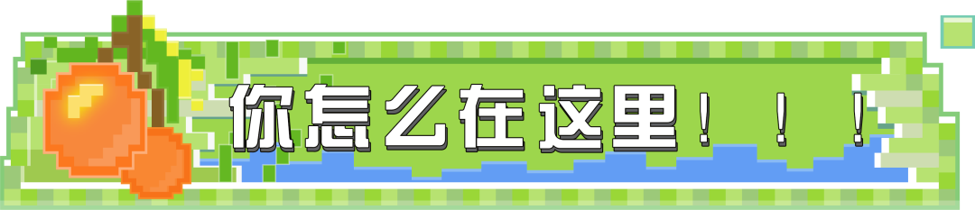 是趣图吗？摄像头拆一下！