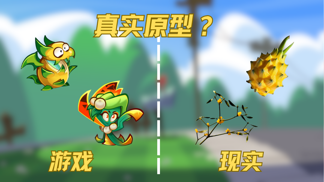 鉴定花园热门生物图鉴 | 2