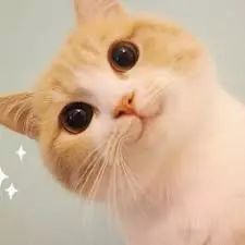 半受流太虚怎么养成？为你揭开太虚大神的独门培养秘诀！ 