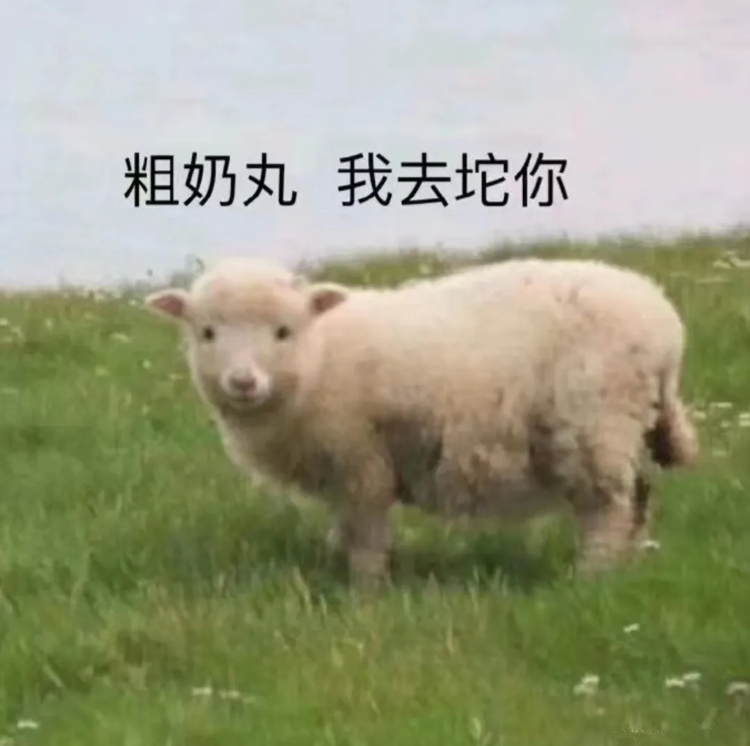 活动爆料丨解锁赏秋新玩法！美景与福利双收获！