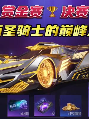 直线之王圣骑士