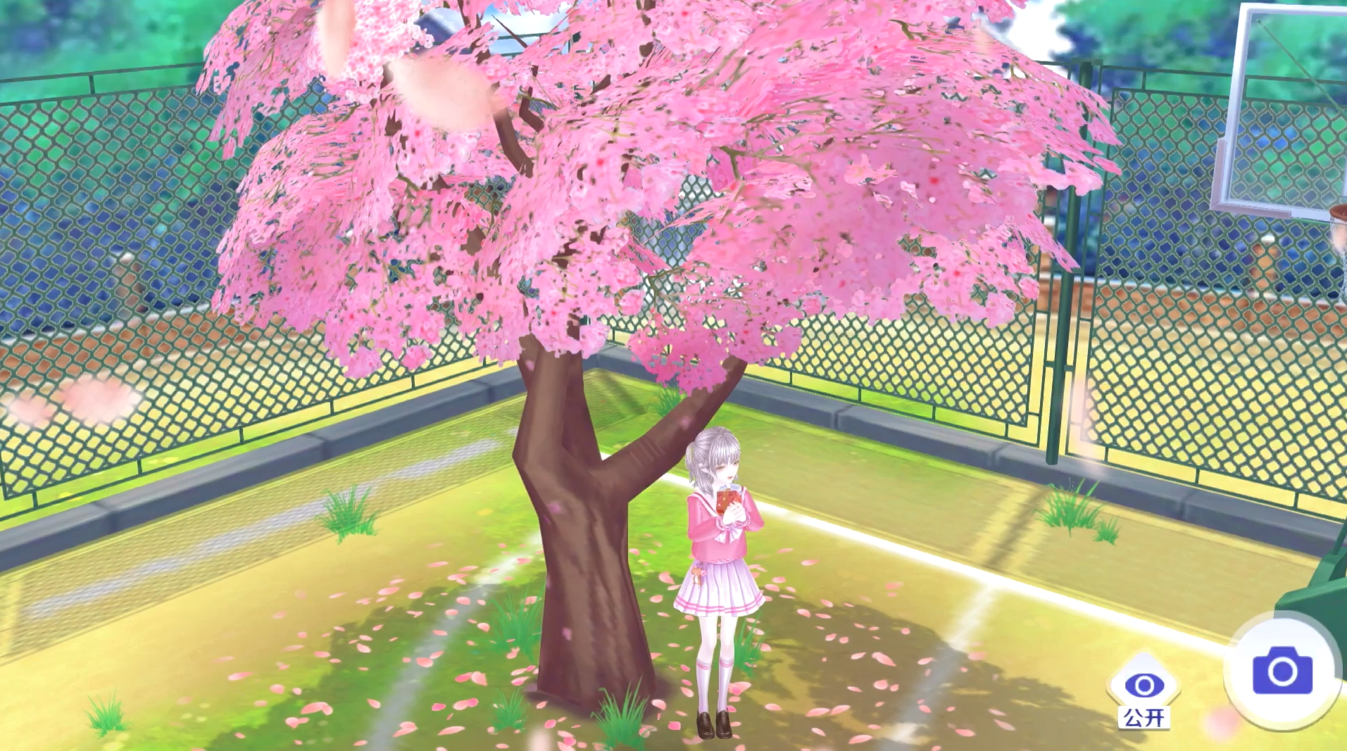 纯爱剧场：樱花树下的表白