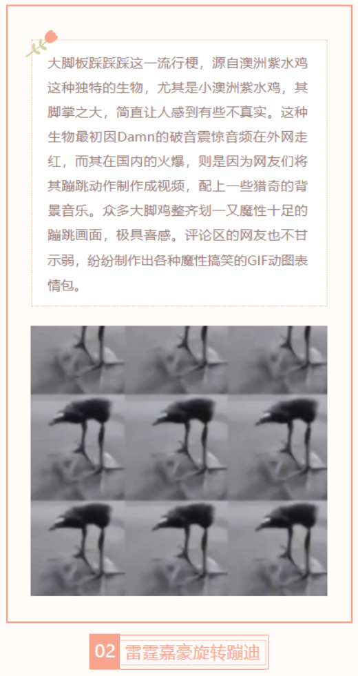 【每日梗图】大脚板踩踩踩