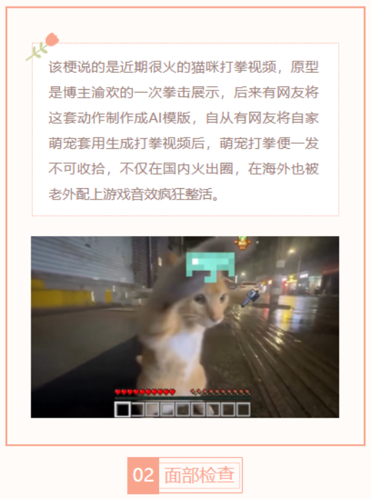 【每日梗图】拳击小猫