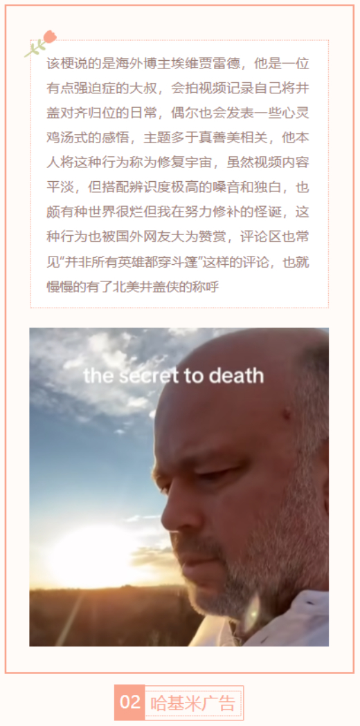 【每日梗图】哈基米广告