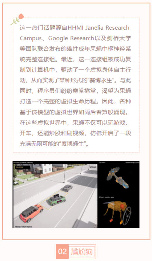 【每日梗图】尴尬狗