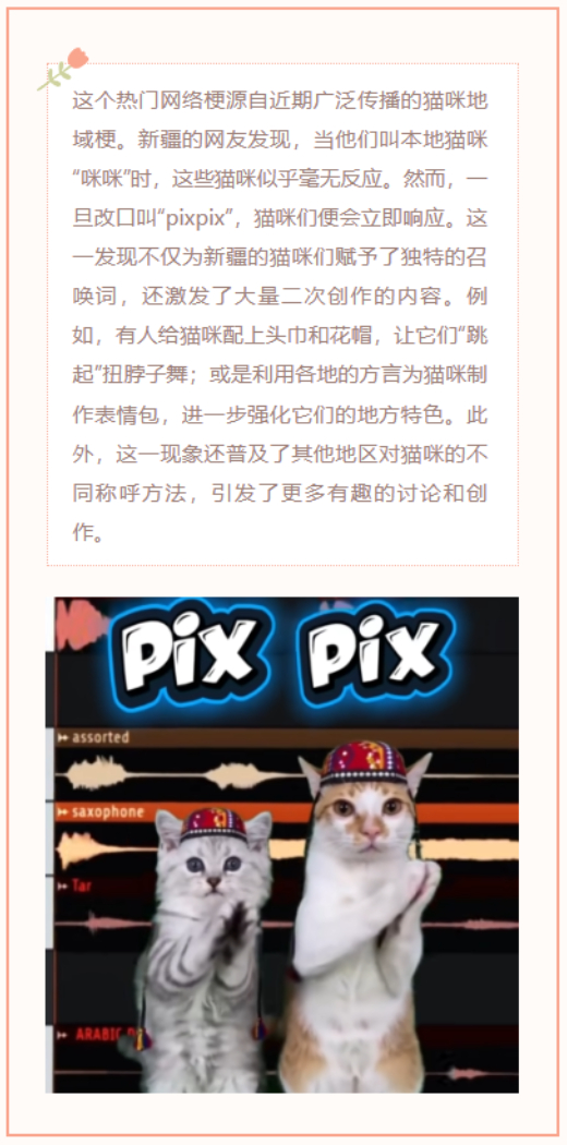 【每日梗图】新疆的猫
