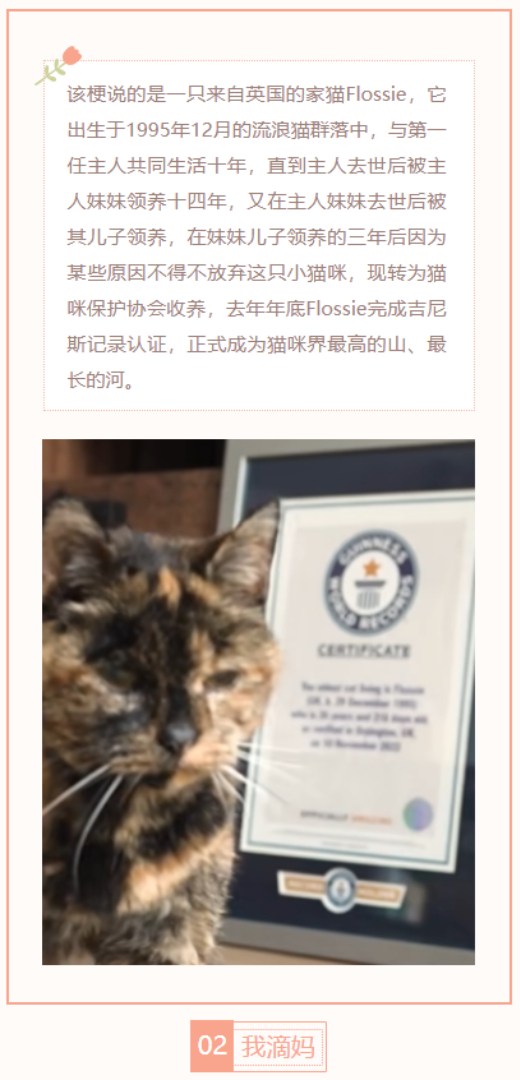 【每日梗图】哈基米界最长的河