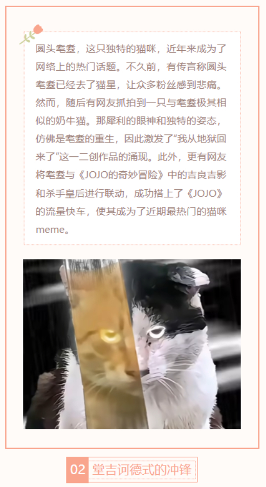 【每日梗图】做那个挑战风车的傻子